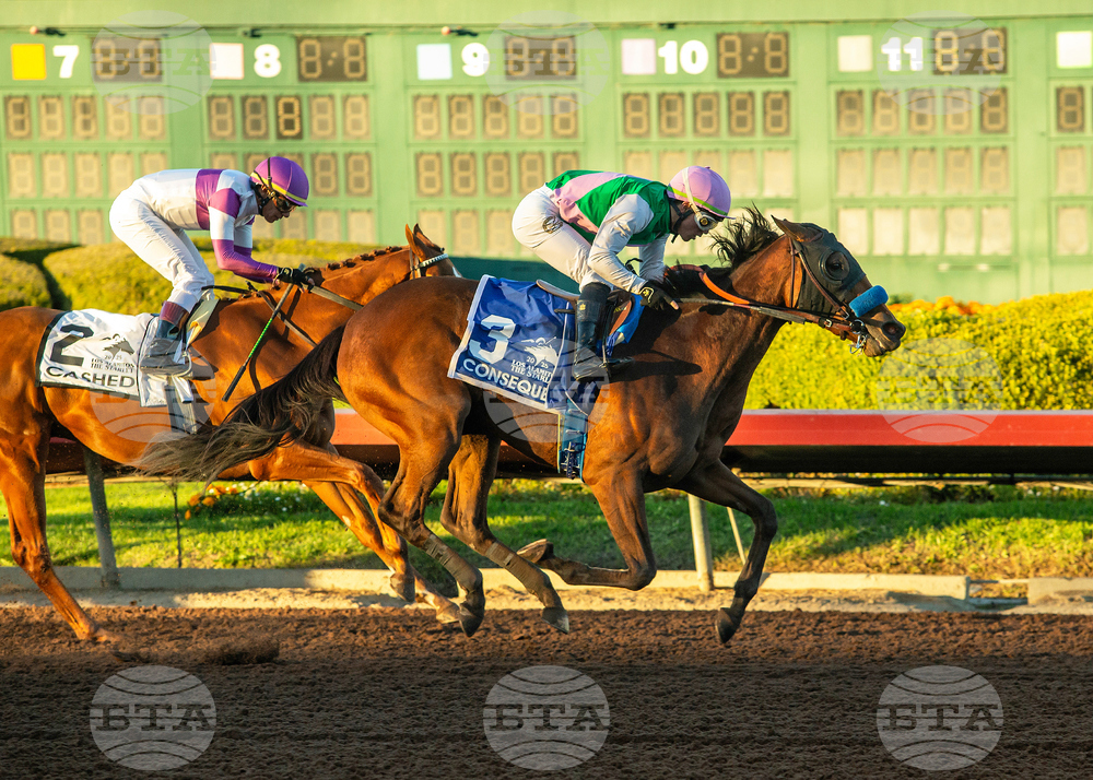 Los Alamitos Horse Racing