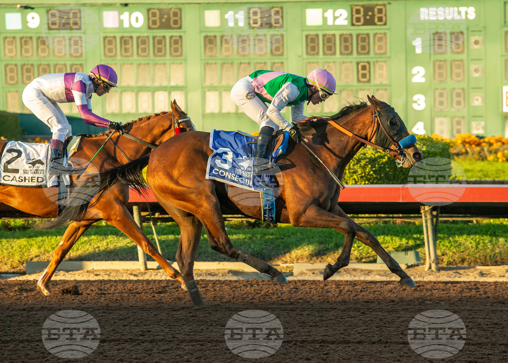 Los Alamitos Horse Racing