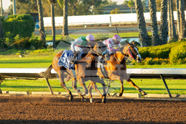 Los Alamitos Horse Racing