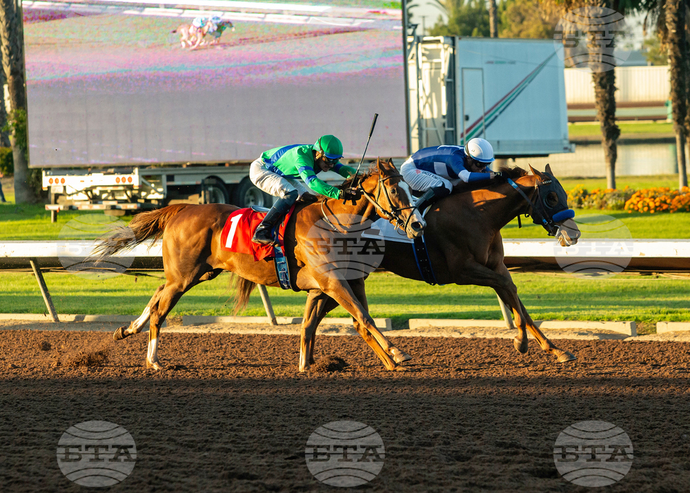 Los Alamitos Horse Racing