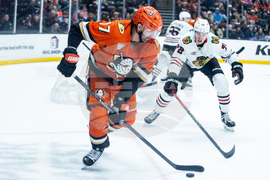 Blackhawks Ducks Hockey