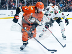 Blackhawks Ducks Hockey