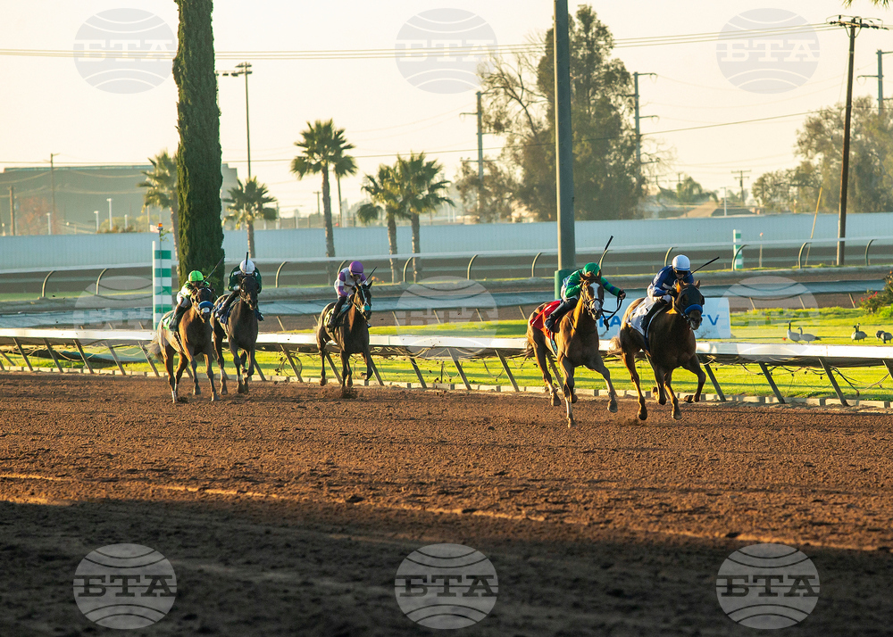 Los Alamitos Horse Racing