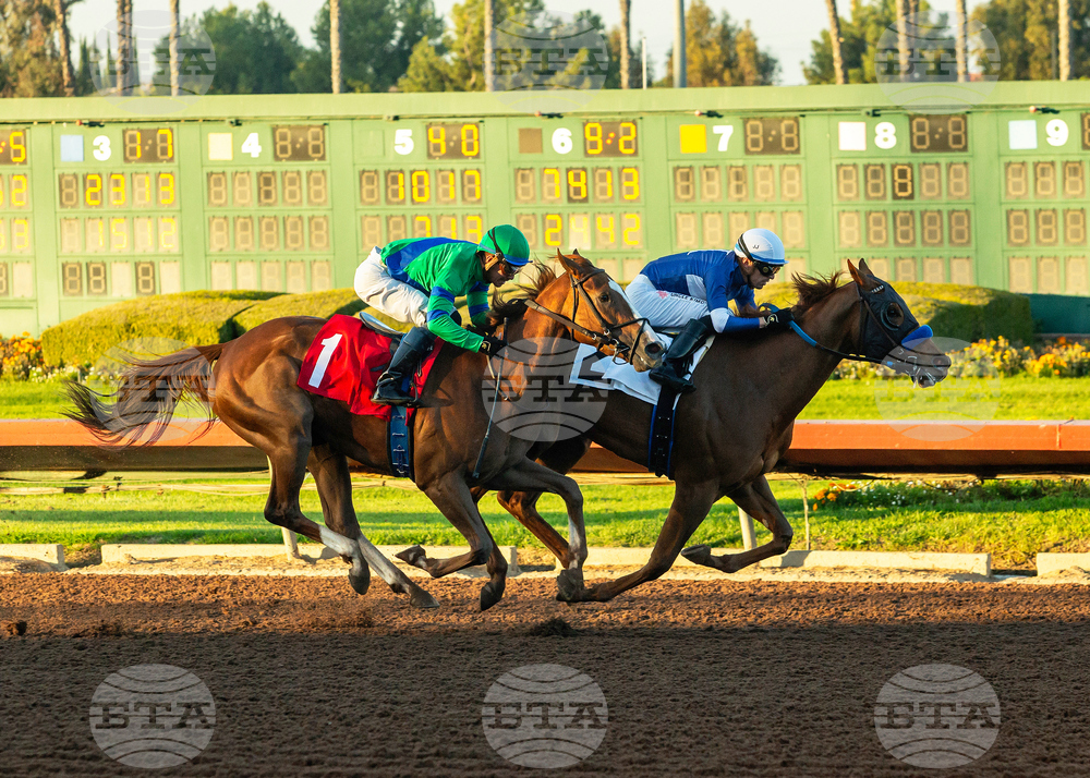Los Alamitos Horse Racing