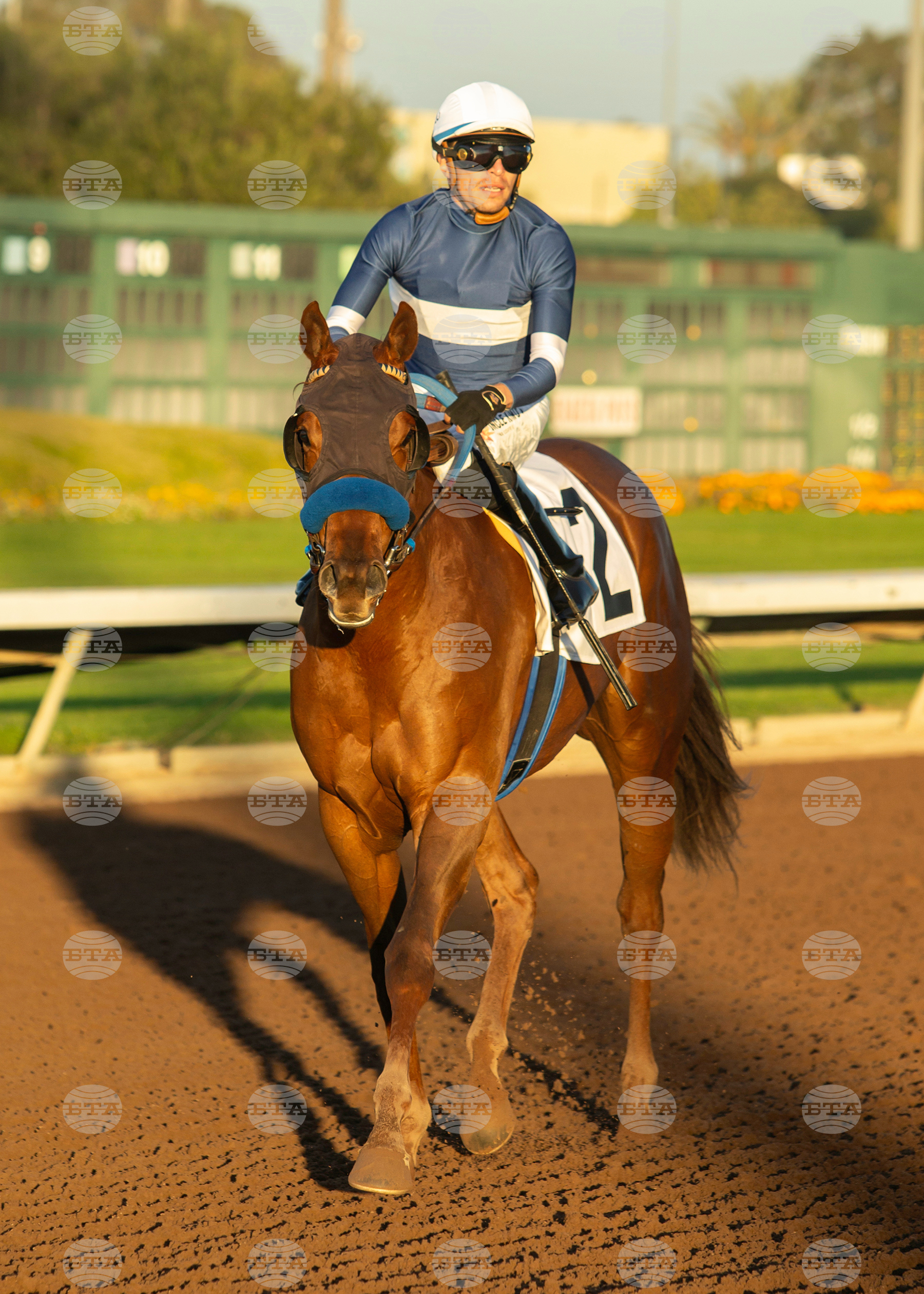 Los Alamitos Horse Racing