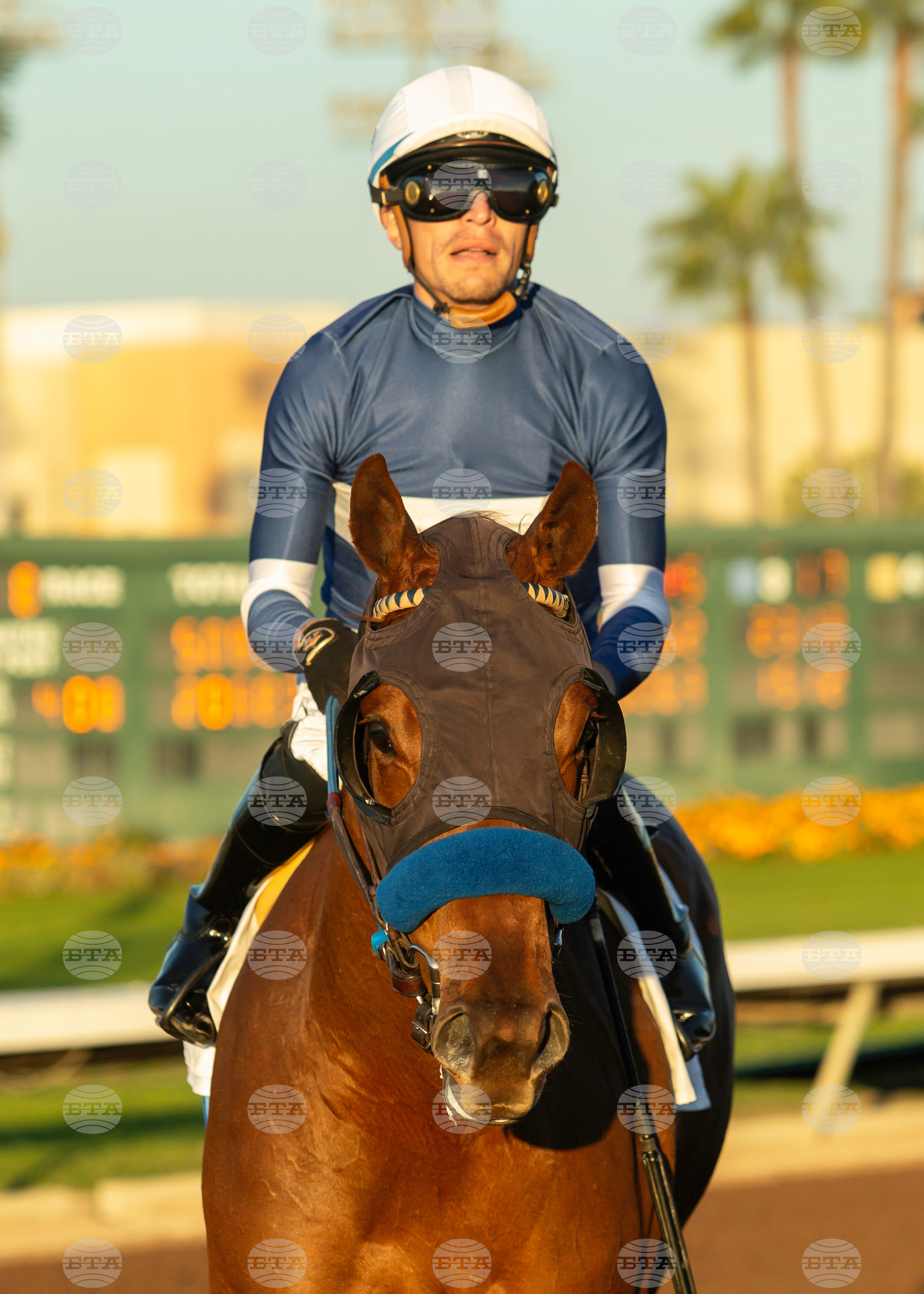 Los Alamitos Horse Racing