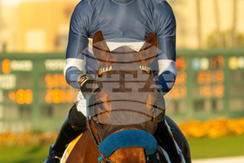 Los Alamitos Horse Racing