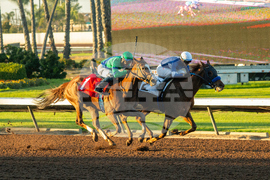 Los Alamitos Horse Racing