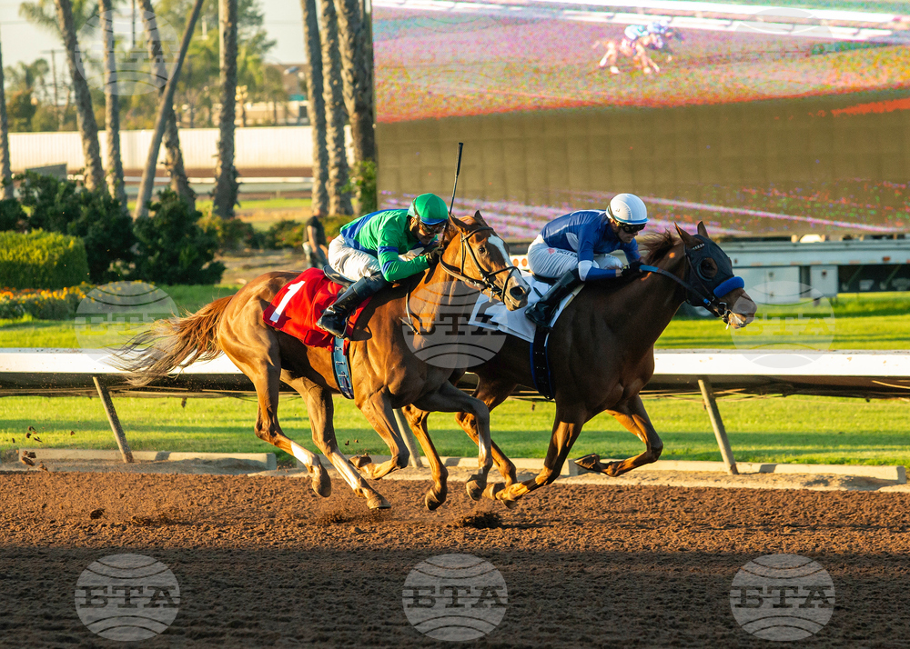 Los Alamitos Horse Racing