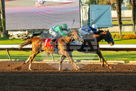 Los Alamitos Horse Racing