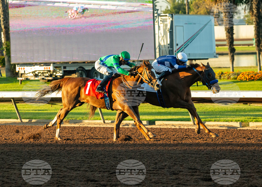 Los Alamitos Horse Racing