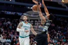 Nuggets Hornets Basketball