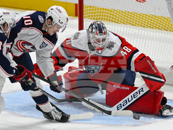 Blue Jackets Capitals Hockey