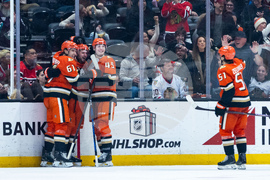 Blackhawks Ducks Hockey