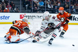 Blackhawks Ducks Hockey