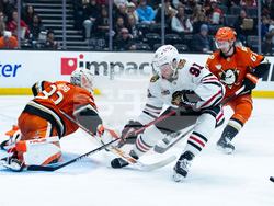 Blackhawks Ducks Hockey