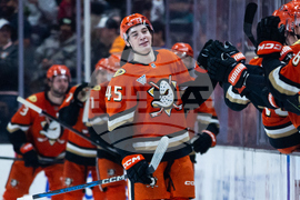 Blackhawks Ducks Hockey