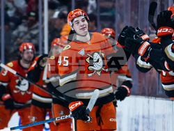 Blackhawks Ducks Hockey