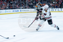 Blackhawks Ducks Hockey