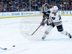 Blackhawks Ducks Hockey