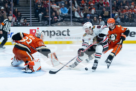 Blackhawks Ducks Hockey
