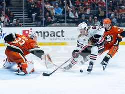 Blackhawks Ducks Hockey