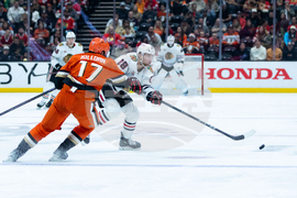 Blackhawks Ducks Hockey