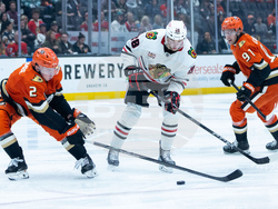 Blackhawks Ducks Hockey