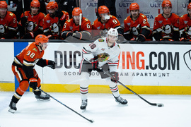 Blackhawks Ducks Hockey