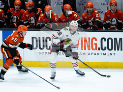 Blackhawks Ducks Hockey