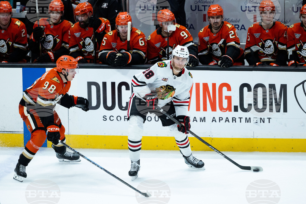 Blackhawks Ducks Hockey