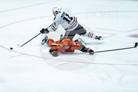 Blackhawks Ducks Hockey