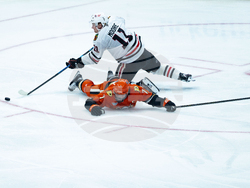 Blackhawks Ducks Hockey