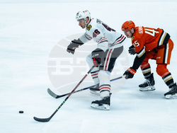 Blackhawks Ducks Hockey