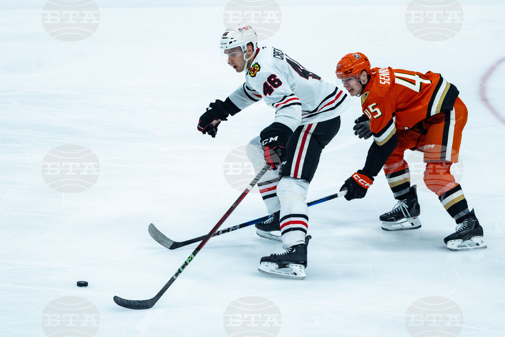 Blackhawks Ducks Hockey