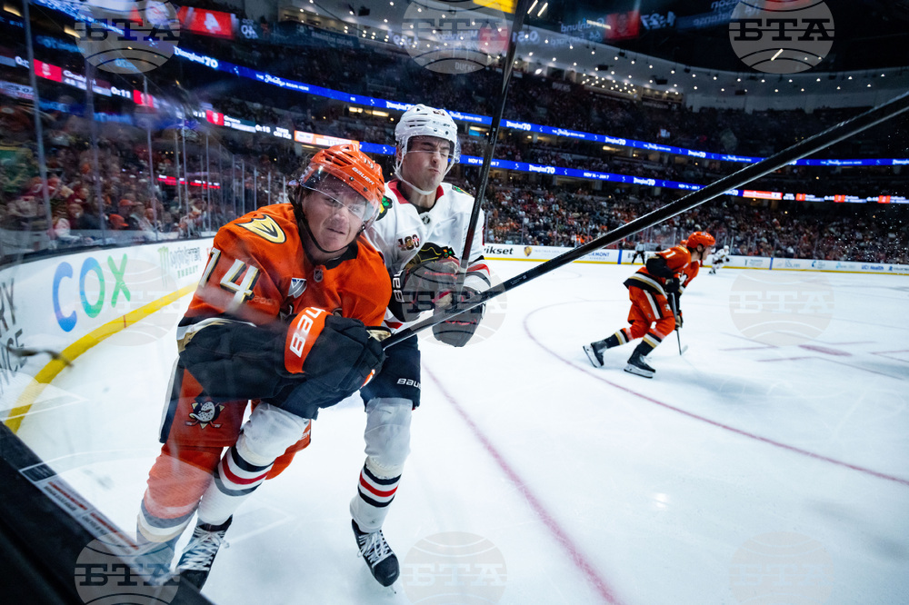 Blackhawks Ducks Hockey