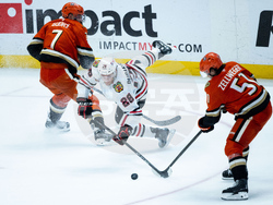 Blackhawks Ducks Hockey