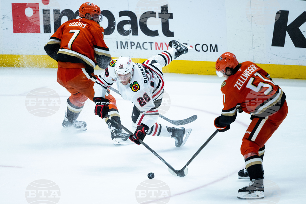 Blackhawks Ducks Hockey