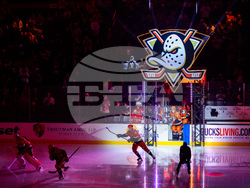 Blackhawks Ducks Hockey