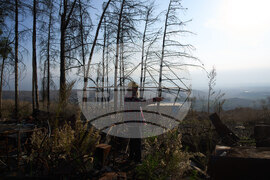 Israel Jittery North