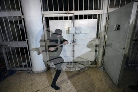 Syria Assad Fall Anniversary