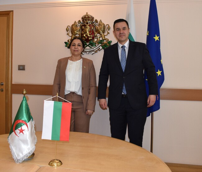 Министерство на икономиката и индустрията: Четири пъти се е увеличил стокообменът ни с Алжир 