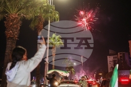 Syria Assad Fall Anniversary