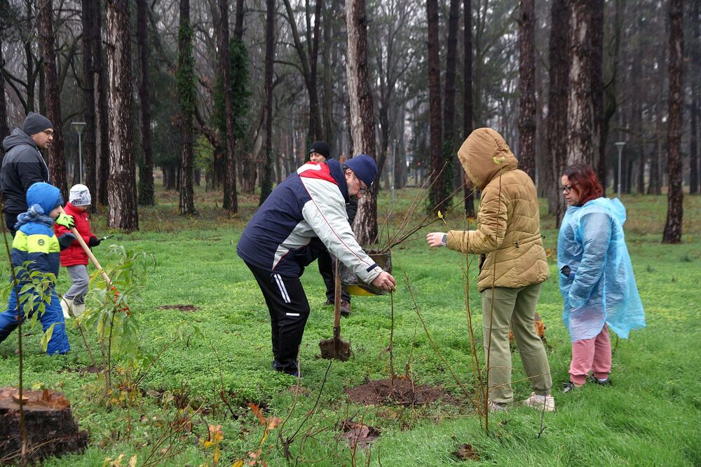 Деца и родители залесиха района край градския стадион в Исперих, пострадал при пожар през лятото