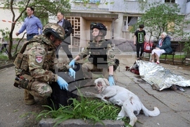 YE Ukraine 2025 Photo Gallery