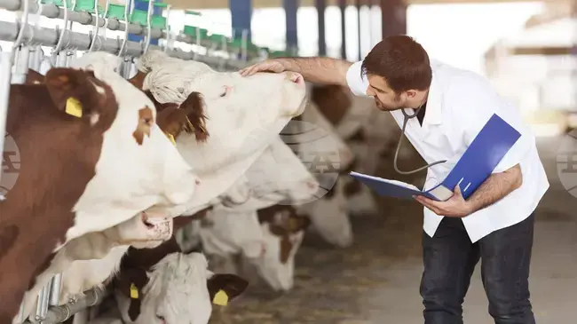 КАБАР: В Киргизстан стартира пилотен проект по привличане на млади ветеринари