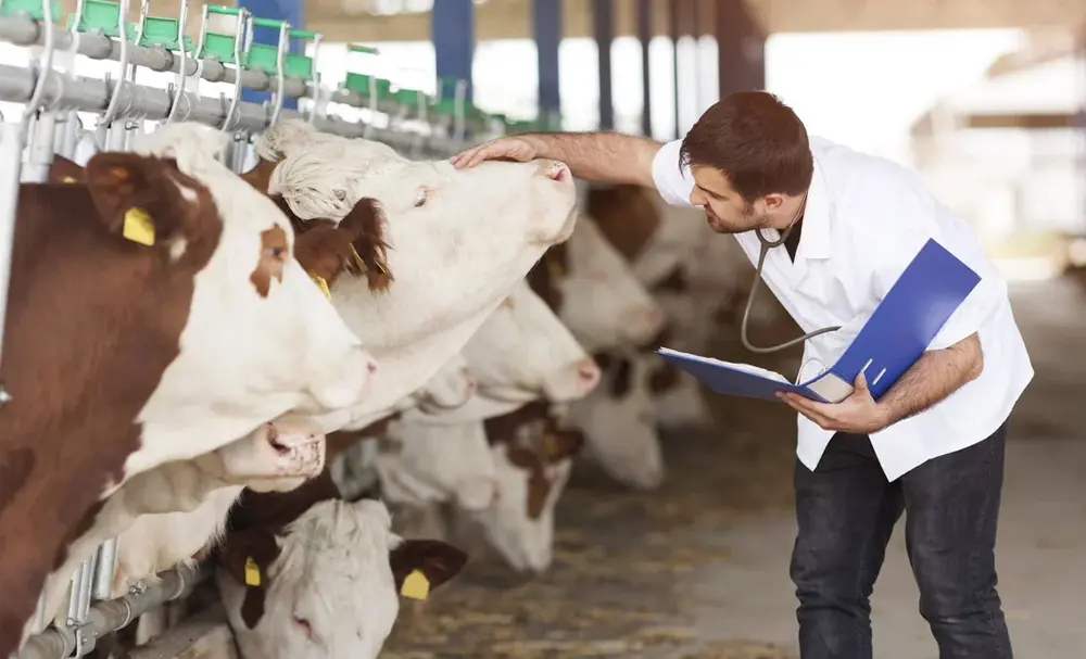 КАБАР: В Киргизстан стартира пилотен проект по привличане на млади ветеринари