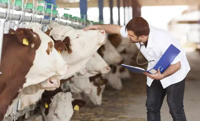 КАБАР: В Киргизстан стартира пилотен проект по привличане на млади ветеринари