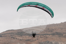 Syria Assad Fall Anniversary