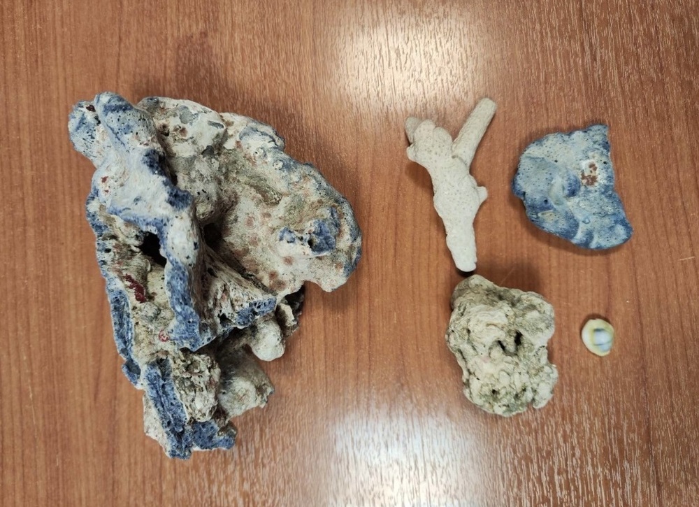 Екзотични корали задържаха митническите служители на Летище „Васил Левски“